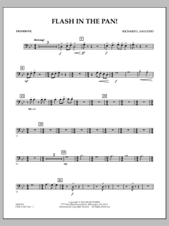 Flash In The Pan! von Richard L. Saucedo (Download) 