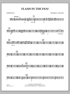 Flash In The Pan! von Richard L. Saucedo (Download) 