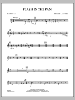 Flash In The Pan! von Richard L. Saucedo (Download) 