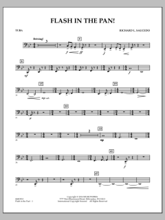 Flash In The Pan! von Richard L. Saucedo (Download) 