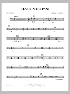 Flash In The Pan! von Richard L. Saucedo (Download) 