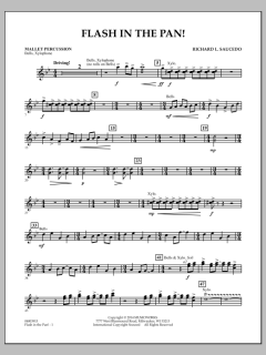 Flash In The Pan! von Richard L. Saucedo (Download) 