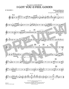 I Got You (I Feel Good) von James Brown (Download) 