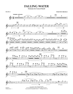 Falling Water von Timothy Broege (Download) 