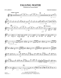 Falling Water von Timothy Broege (Download) 