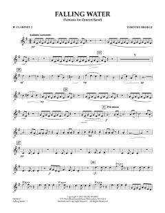 Falling Water von Timothy Broege (Download) 