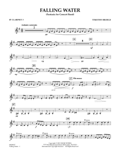 Falling Water von Timothy Broege (Download) 