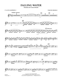 Falling Water von Timothy Broege (Download) 