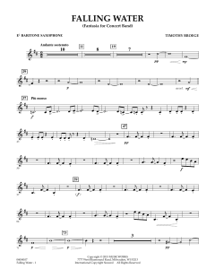 Falling Water von Timothy Broege (Download) 