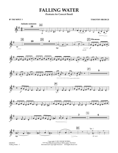 Falling Water von Timothy Broege (Download) 