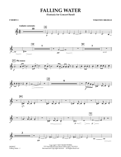 Falling Water von Timothy Broege (Download) 