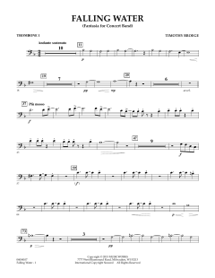 Falling Water von Timothy Broege (Download) 