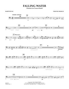 Falling Water von Timothy Broege (Download) 