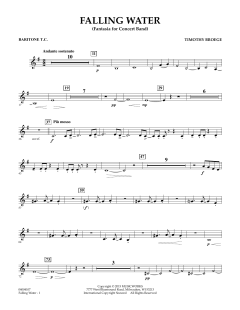 Falling Water von Timothy Broege (Download) 