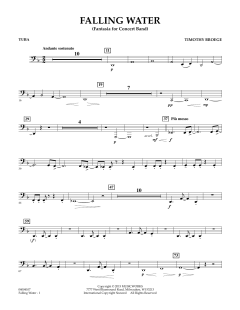 Falling Water von Timothy Broege (Download) 