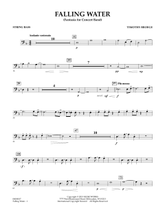 Falling Water von Timothy Broege (Download) 