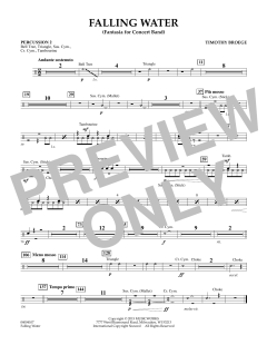 Falling Water von Timothy Broege (Download) 