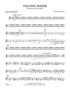 Falling Water von Timothy Broege (Download) 