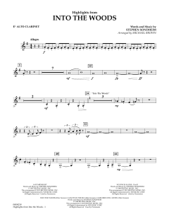 Highlights from Into The Woods von Stephen Sondheim (Download) 