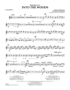 Highlights from Into The Woods von Stephen Sondheim (Download) 