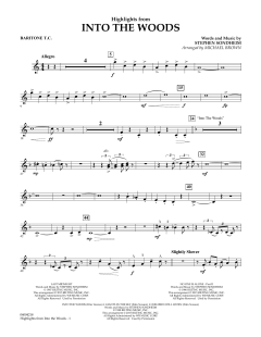 Highlights from Into The Woods von Stephen Sondheim (Download) 