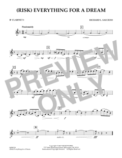 (Risk) Everything for A Dream von Richard L. Saucedo (Download) 