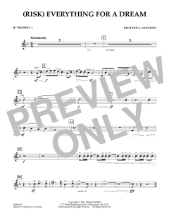 (Risk) Everything for A Dream von Richard L. Saucedo (Download) 