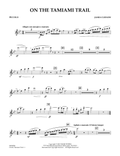 On The Tamiami Trail von James Curnow (Download) 