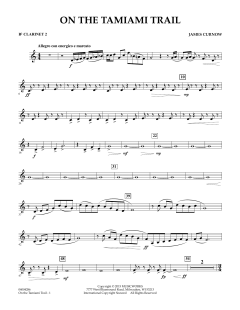 On The Tamiami Trail von James Curnow (Download) 