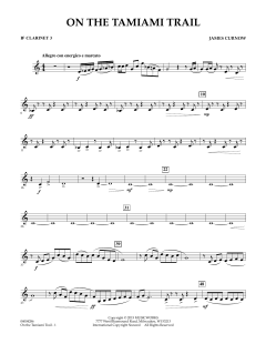 On The Tamiami Trail von James Curnow (Download) 