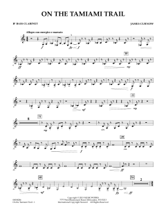 On The Tamiami Trail von James Curnow (Download) 