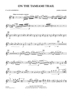 On The Tamiami Trail von James Curnow (Download) 