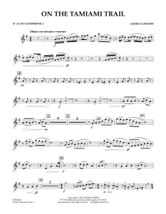 On The Tamiami Trail von James Curnow (Download) 