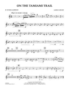 On The Tamiami Trail von James Curnow (Download) 