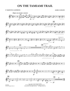 On The Tamiami Trail von James Curnow (Download) 