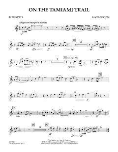 On The Tamiami Trail von James Curnow (Download) 