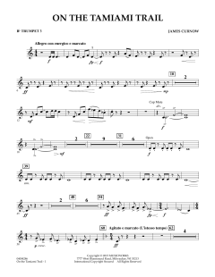 On The Tamiami Trail von James Curnow (Download) 