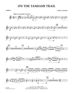 On The Tamiami Trail von James Curnow (Download) 