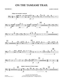 On The Tamiami Trail von James Curnow (Download) 