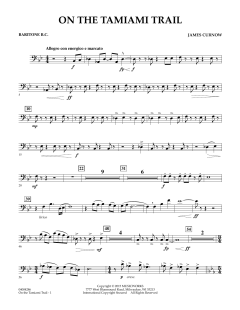 On The Tamiami Trail von James Curnow (Download) 