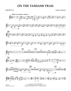 On The Tamiami Trail von James Curnow (Download) 