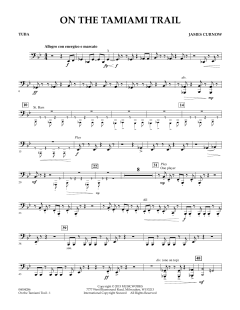 On The Tamiami Trail von James Curnow (Download) 