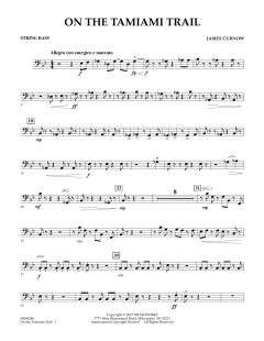 On The Tamiami Trail von James Curnow (Download) 