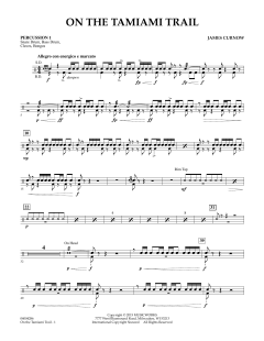 On The Tamiami Trail von James Curnow (Download) 