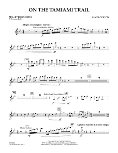 On The Tamiami Trail von James Curnow (Download) 