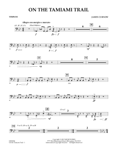 On The Tamiami Trail von James Curnow (Download) 