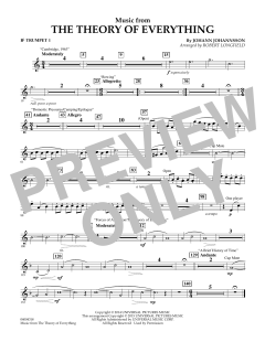 Music from The Theory of Everything (Download) 