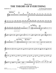 Music from The Theory of Everything (Download) 