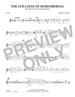 The Stillness Of Remembering von Samuel R. Hazo (Download) 