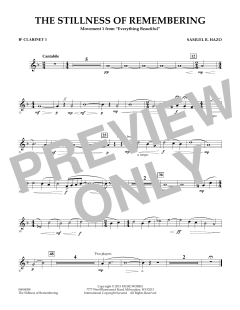 The Stillness Of Remembering von Samuel R. Hazo (Download) 